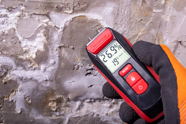 Best Fast Mold Removal  in Canby, OR
